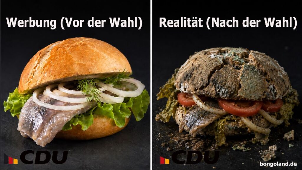 Fischrötchen der CDU vor derWahl- nach der Wahl- MVP Wahl 2026